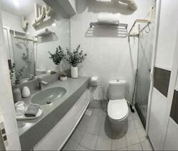 Blk 250C Compassvale Haven (Sengkang), HDB Executive #577819731